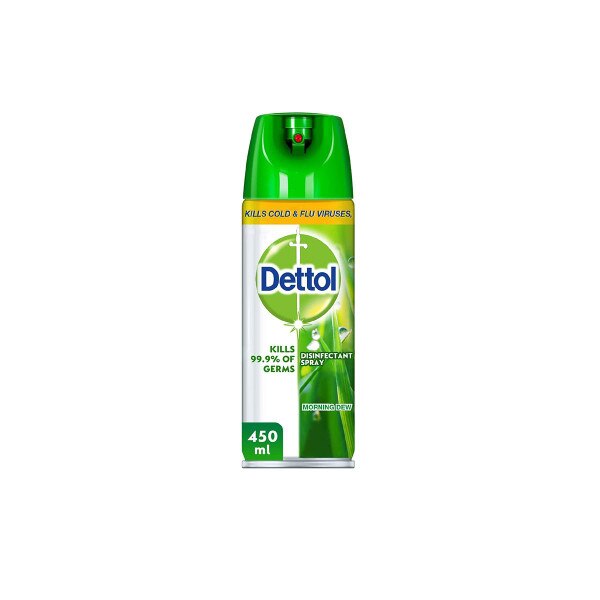 Dettol antibacterial disinfectant Spray 450ml Morning Dew